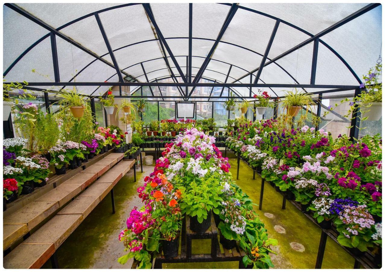 Cedar Inn Darjeeling  Bagian luar foto